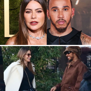 Sofía Vergara y Lewis Hamilton salen a cenar juntos: ¿estamos ante el nacimiento de una nueva pareja?